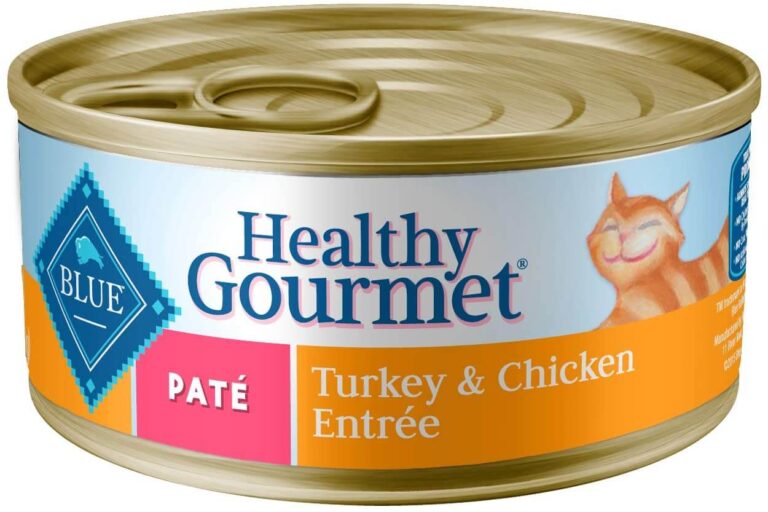 6 Best Cat Food for Older Cats with Bad Teeth Reviews