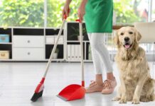 Best Broom For Dog Hair On Hardwood Floors 2025 Reviews Best Broom For Dog Hair On Hardwood Floors