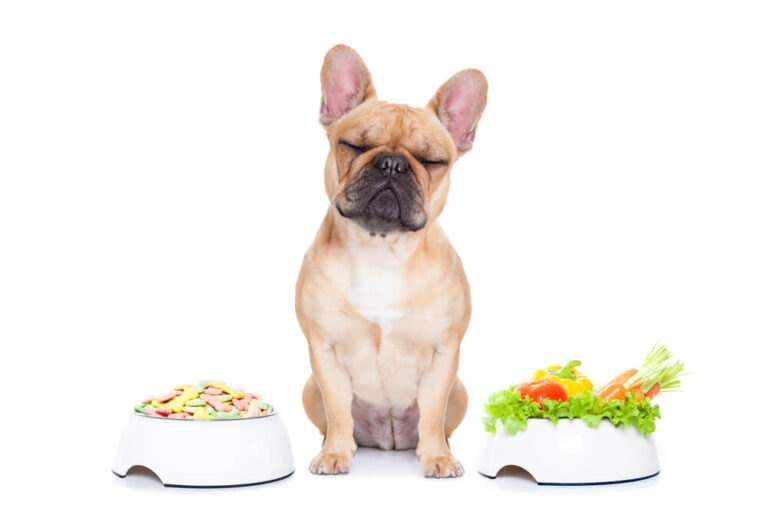 What Human Foods Can French Bulldogs Eat?