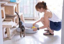 Best Cat Urine Remover Reviews 2025 | Safest Method Best Cat Urine Remover