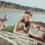 Best Dog Travel Bag Reviews 2025 | How to Pick? Best Dog Travel Bag