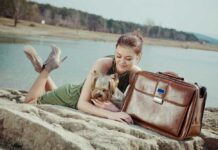 Best Dog Travel Bag Reviews 2025 | How to Pick? Best Dog Travel Bag