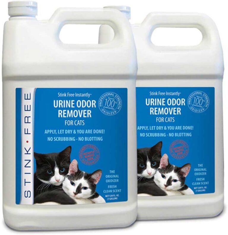 Best Cat Urine Remover Reviews 2022 Safest Method