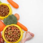 What Ingredients Should You Avoid When Buying Cat Food? What Ingredients Should You Avoid When Buying Cat Food