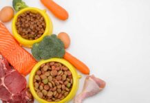 What Ingredients Should You Avoid When Buying Cat Food? What Ingredients Should You Avoid When Buying Cat Food